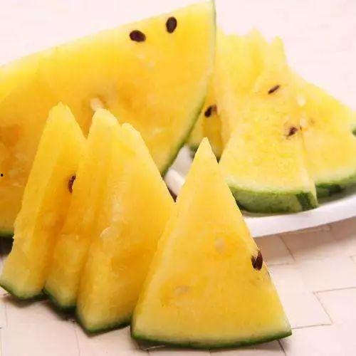 黑吃料网吃瓜必备