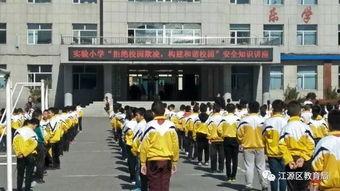 黑料网实验小学,揭秘小学生网络行为背后的秘密