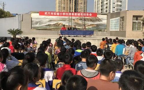 黑料网实验小学,揭秘小学生网络行为背后的秘密