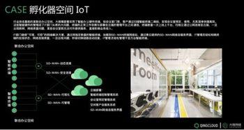 劲盈云网的黑料