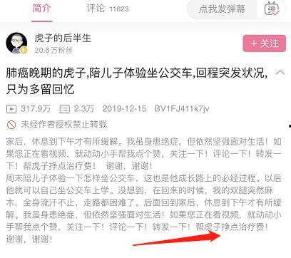 网红黑料正能量第二页,第二页故事揭秘