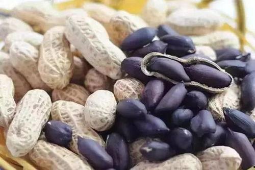 网红佟鑫三斤黑料,黑料背后的真相与反思