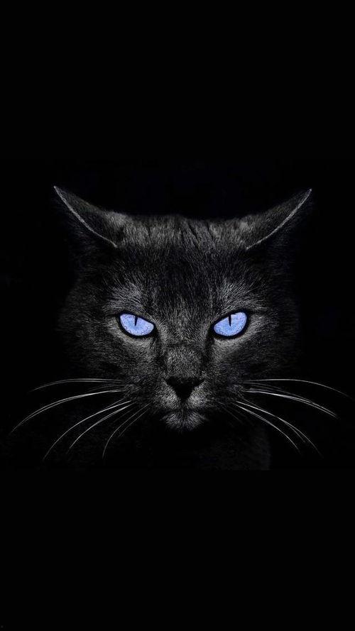 睁眼看世界黑料网